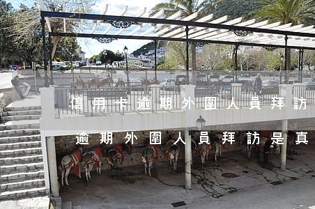 信用卡逾期外圍人員拜訪是真的嗎-信用卡逾期外圍人員拜訪是真的嗎嗎