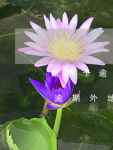 信用卡逾期外地法院傳票怎么處理-信用卡逾期外地法院傳票怎么處理的