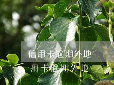 信用卡逾期外地號碼發(fā)來短信-信用卡逾期外地號碼發(fā)來短信