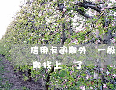 信用卡逾期外訪一般幾點上門-說信用卡逾期找上門了