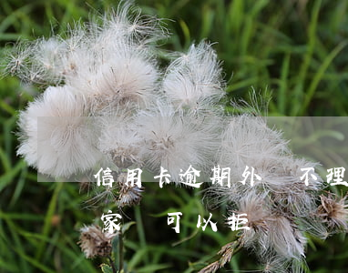 信用卡逾期外訪不理行不行(信用卡逾期銀行家訪可以拒絕嗎)