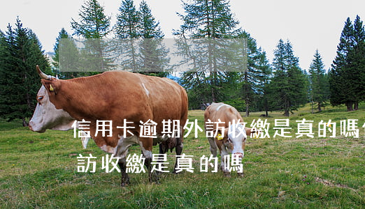 信用卡逾期外訪收繳是真的嗎（信用卡逾期外訪收繳是真的嗎）