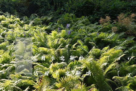 信用卡逾期外訪調(diào)查員(鑒于您信用卡逾期情況嚴(yán)重 實地核訪)