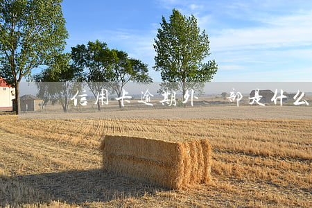 信用卡逾期外訪部是什么人(欠信用卡外訪)