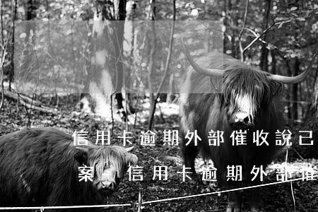 信用卡逾期外部催收說已經(jīng)立案-信用卡逾期外部催收說已經(jīng)立案是真的嗎