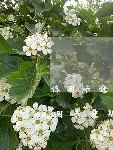 信用卡逾期多_一個(gè)星期(各銀行信用卡逾期天數(shù))