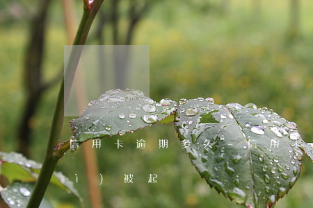 信用卡 逾期多久-信用卡逾期多久會(huì)被起訴