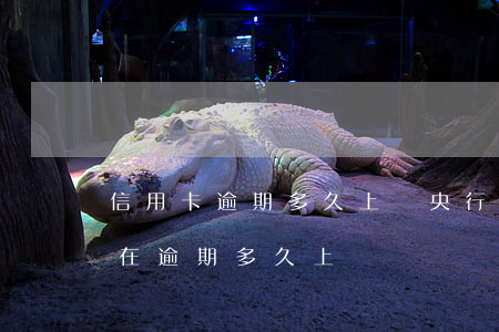 信用卡逾期多久上傳央行 一般銀行上傳征信在逾期多久上傳