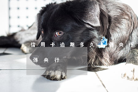 信用卡逾期多久上傳央行(信用卡逾期多久上傳央行)