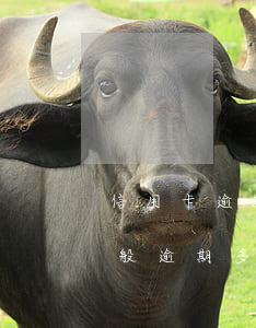 信用卡逾期多久上報(bào)征信中心 一般逾期多久會(huì)上報(bào)征信