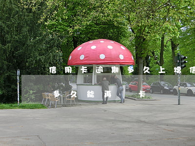 信用卡逾期多久上增信(信用有過逾期記錄過多久能再辦卡)