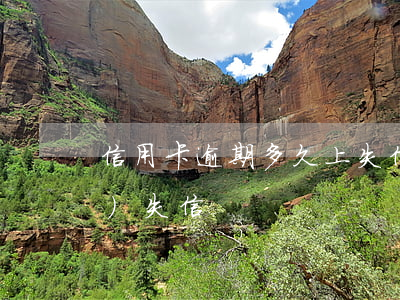 信用卡逾期多久上失信 逾期多久會(huì)失信