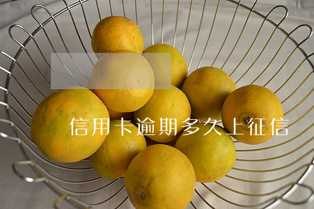 信用卡逾期多久上征信單子怎么看
