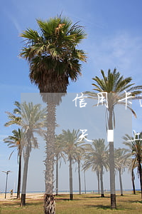 信用卡逾期多久上征信平安(平安銀行逾期5天會上征信會顯示逾期)