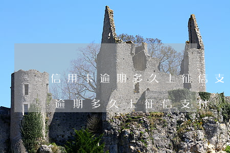 信用卡逾期多久上征信支付寶停用-信用卡逾期多久上征信支付寶停用了