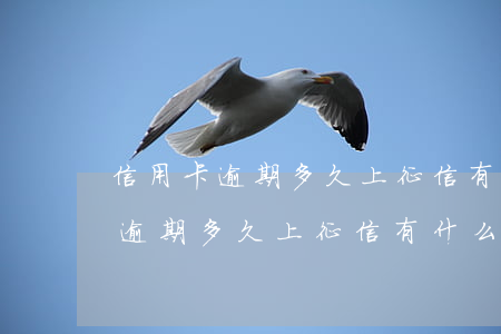 信用卡逾期多久上征信有什么影響-信用卡逾期多久上征信有什么影響呢