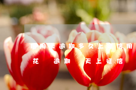 信用卡逾期多久上征(信用卡逾期多久上征信?花唄逾期幾天上征信)
