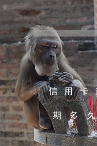 信用卡逾期多久上征入-信用卡5000逾期多久會(huì)上征信