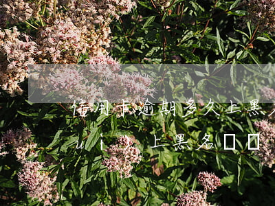 信用卡逾期多久上黑名單嗎(逾期了就會(huì)上黑名單嗎)