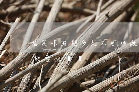 信用卡逾期多久不可以做火車 欠信用卡不還能坐火車嗎
