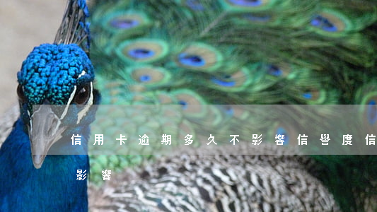 信用卡逾期多久不影響信譽度(信用卡逾期的影響)