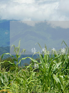 信用卡逾期多久不會收利息(各銀行信用卡逾期利息)