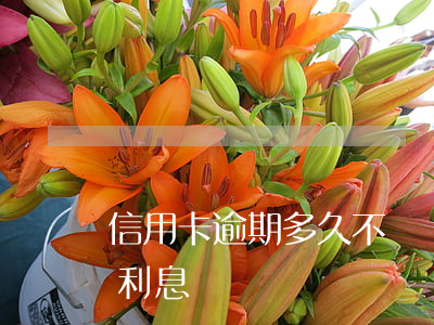 信用卡逾期多久不會漲利息 逾期會不會增加利息