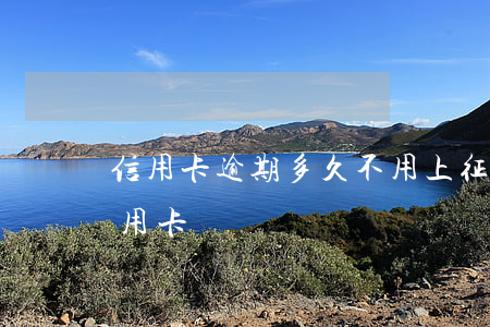 信用卡逾期多久不用上征信(逾期多久能辦信用卡)