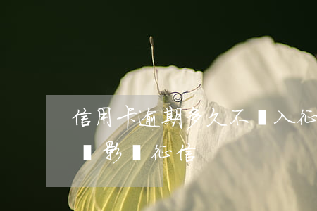 信用卡逾期多久不納入征信(信用卡逾期多久會影響征信)