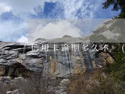 信用卡逾期多久不網(wǎng)貸