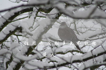 信用卡逾期多久不能做擔保人 逾期多久會影響擔保人