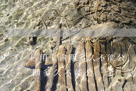 信用卡逾期多久不能公積金貸款-信用卡逾期多久不能公積金貸款了