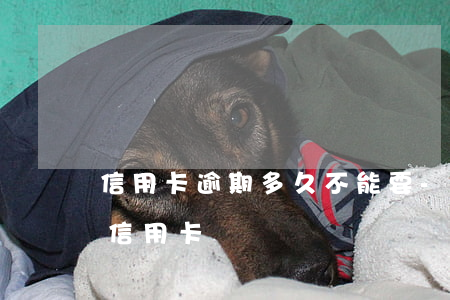 信用卡逾期多久不能要-有逾期多久可以辦信用卡