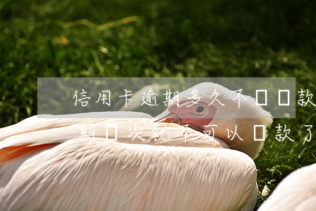 信用卡逾期多久不讓貸款(銀行貸款信用卡逾期幾次就不可以貸款了)