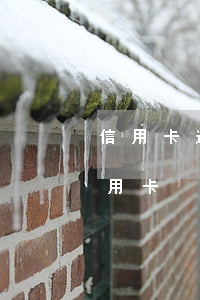 信用卡逾期多久代偿(严重逾期还清后申请信用卡)