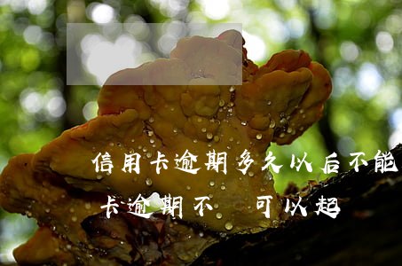 信用卡逾期多久以后不能起訴-朋友借信用卡逾期不還可以起訴嗎