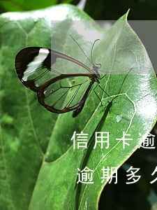 信用卡逾期多久会上个人征信华夏-信用卡逾期多久会上个人征信华夏银行