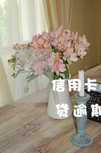 信用卡逾期多久会停止催收(过年了信用卡网贷逾期还催收吗)