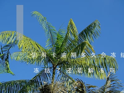 信用卡逾期多久会冻结还款(因逾期信用卡被冻结了还能解冻吗)