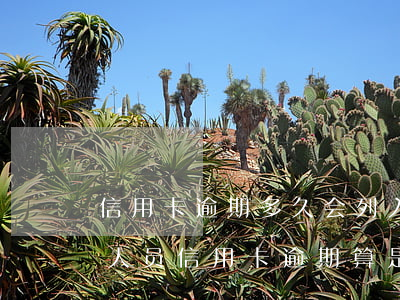 信用卡逾期多久会列入失信人员(什么是失信人员信用卡逾期算是失信人吗)
