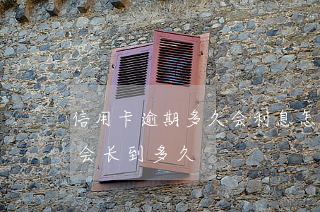 信用卡逾期多久会利息怎么算(信用逾期利息会长到多久)