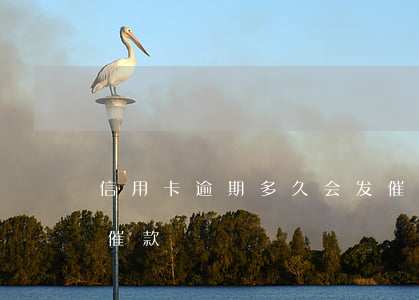 信用卡逾期多久会发催款通知 年底了信用卡催款