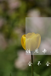 信用卡逾期多久会封楼(信用卡逾期再还进去会不会直接封了)