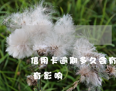 信用卡逾期多久会有事吗(信用卡逾期多久会有影响)