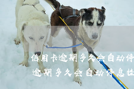 信用卡逾期多久会自动停息挂账呢-信用卡逾期多久会自动停息挂账呢