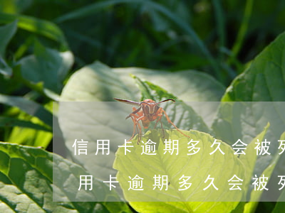 信用卡逾期多久会被列为失信被执行人-信用卡逾期多久会被列为失信被执行人名单