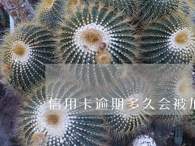 信用卡逾期多久会被加息(信用卡逾期很久)