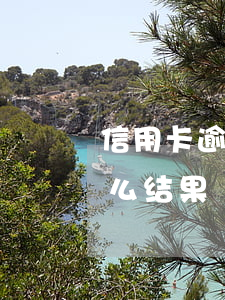 信用卡逾期多久会被报警(信用卡逾期会有什么结果)