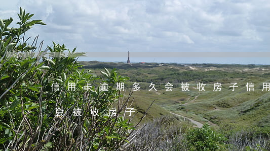 信用卡逾期多久会被收房子(信用卡逾期多久会被收房子)