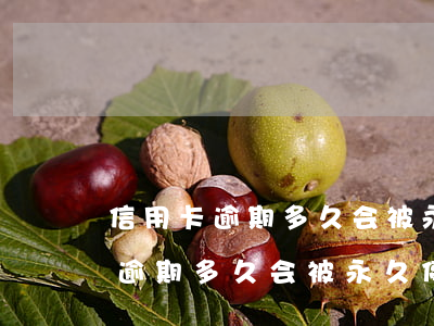 信用卡逾期多久会被永久停卡工商-信用卡逾期多久会被永久停卡工商银行的